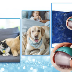 REMOVEDOR DE PELO DE MASCOTAS PORTATIL