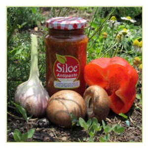 ANTIPASTOS VEGETARIANOS